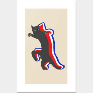 American Black Meme Cat Posters and Art